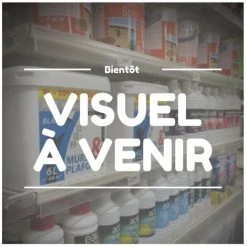 SINGER FRERES Gant Nitrile Vert Floque 30 Cm T11 - 102926-11